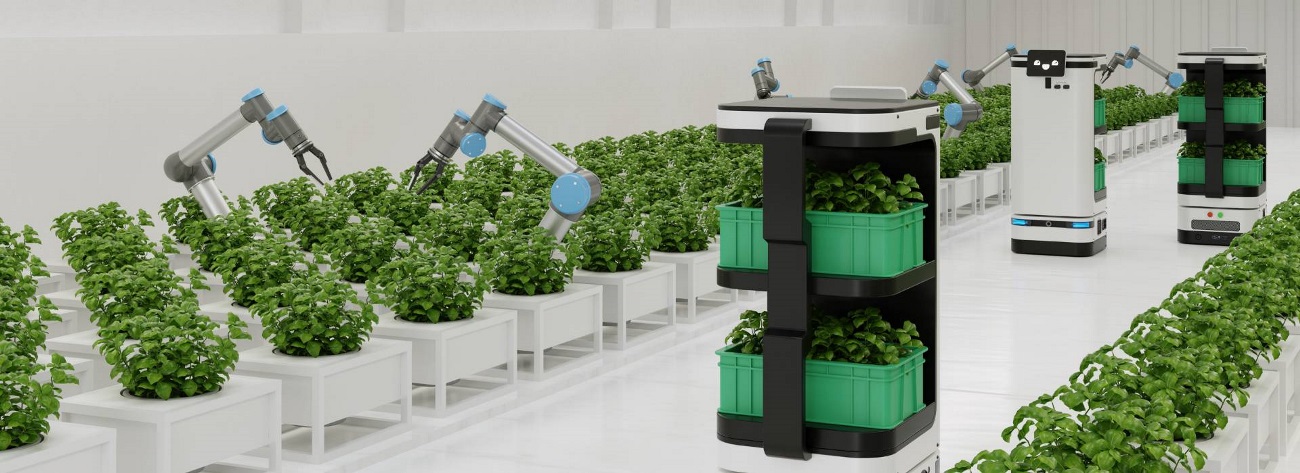 Robotic in agriculture technology concept